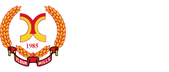 XINYAN food